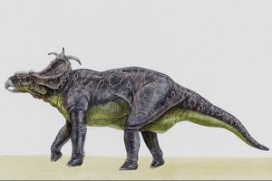 одними из первых организмов были динозавры