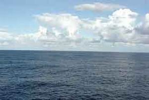 Виноваты ли газовые гидраты? Результаты исследований процессов накопления осадков на дне Мирового океана .Газовые гидраты . Зловещую тайну Бермудского треугольника пытались многие объяснить . Выделения  газа с поверхности дна океана . В случае