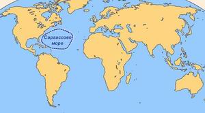 Водоворот в Саргассовом море в районе бермудского треугольника , которые так часто встречаются в саргассовом море  .Сильвестер считал , что  водовороты способны быть причиной исчезновения судов . 