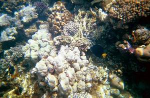 глубинные разломы 